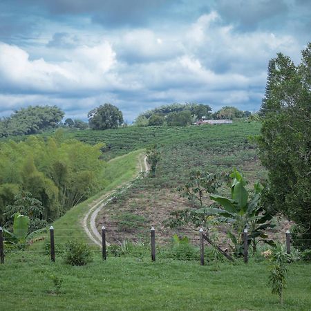 Finca Hotel Heron Quimbaya Luaran gambar