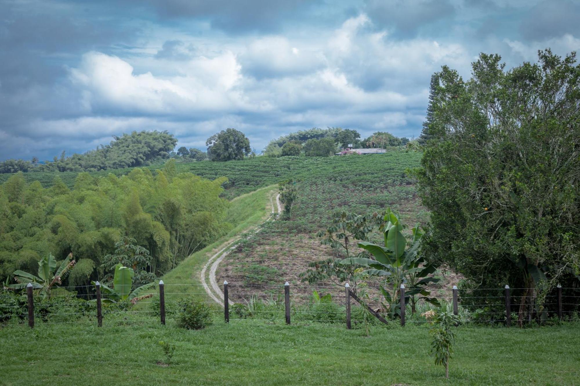 Finca Hotel Heron Quimbaya Luaran gambar